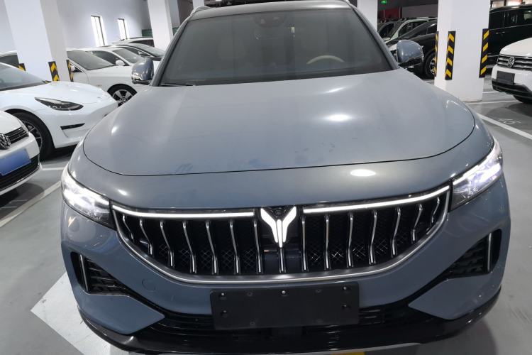 Used VOYAH FREE 2021 Four-Wheel Drive Standard Range-Extended Exclusive Luxury Package