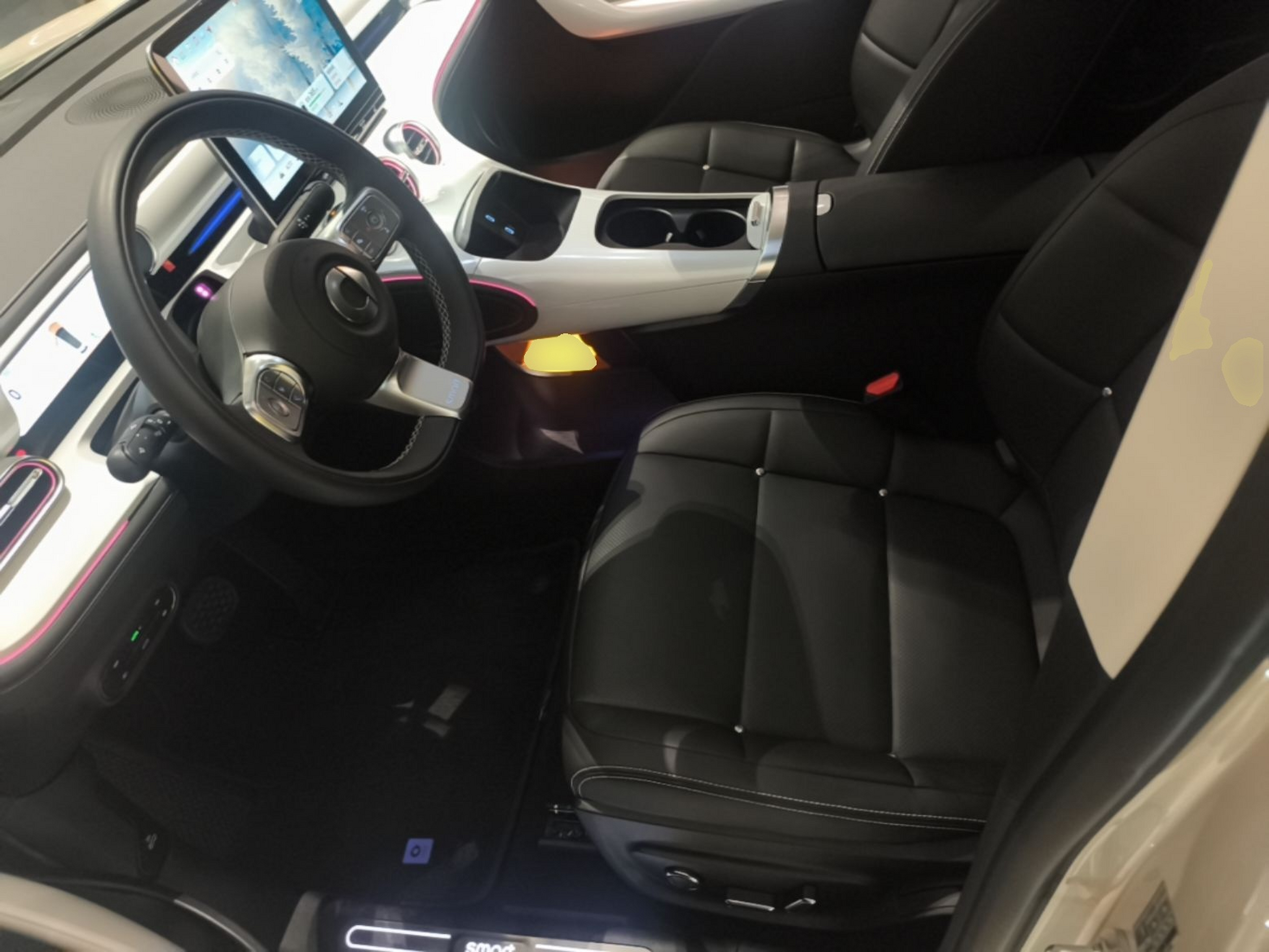 Interior delantero