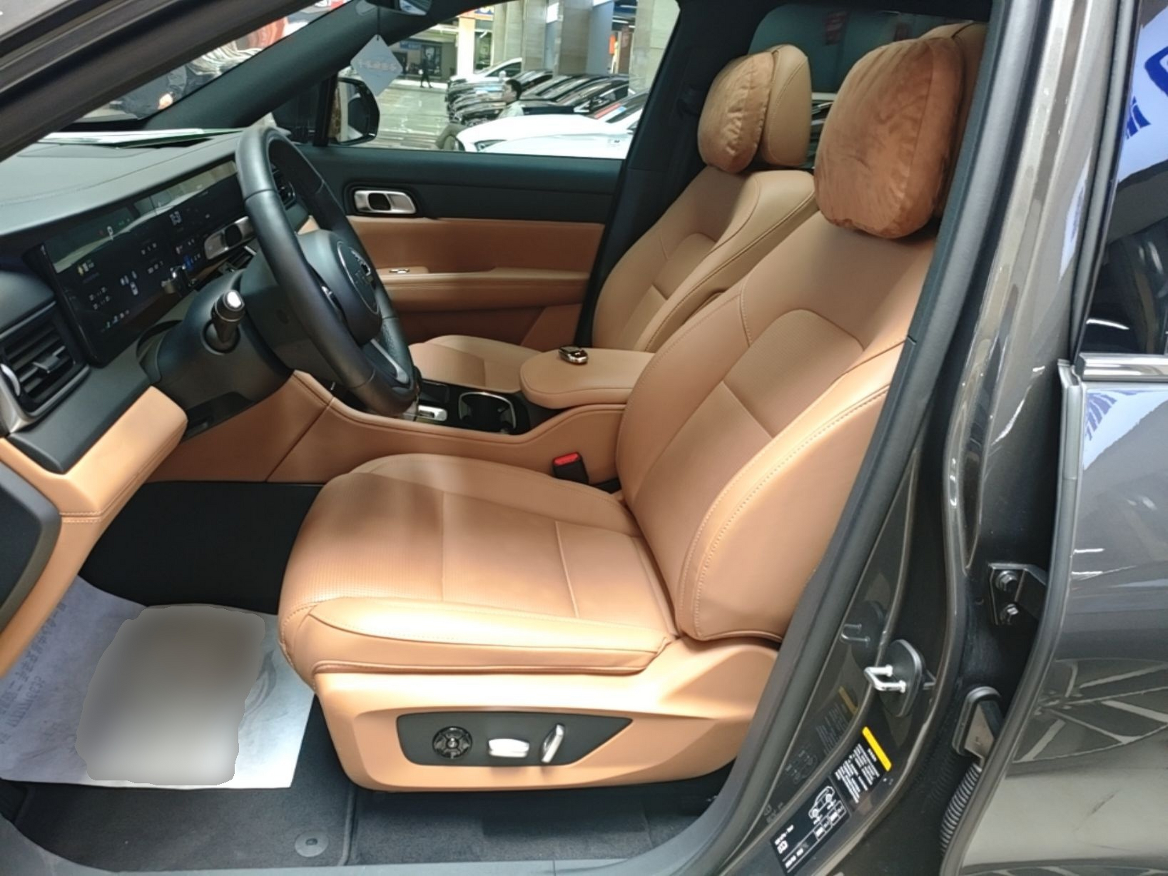 Interior delantero