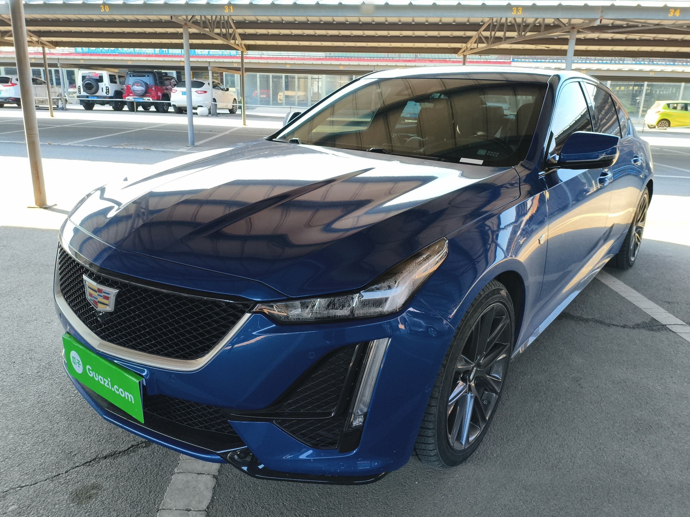 Parte inferior delantera