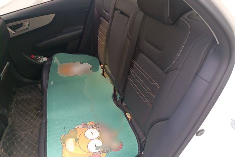 Used BYD Qin 2019 1.5L Automatic Prestige Model Left Rear Seat