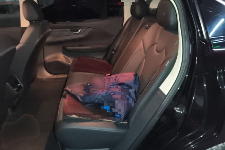 Used Hongqi E-QM5 2023 Revised Version Basic Travel Edition