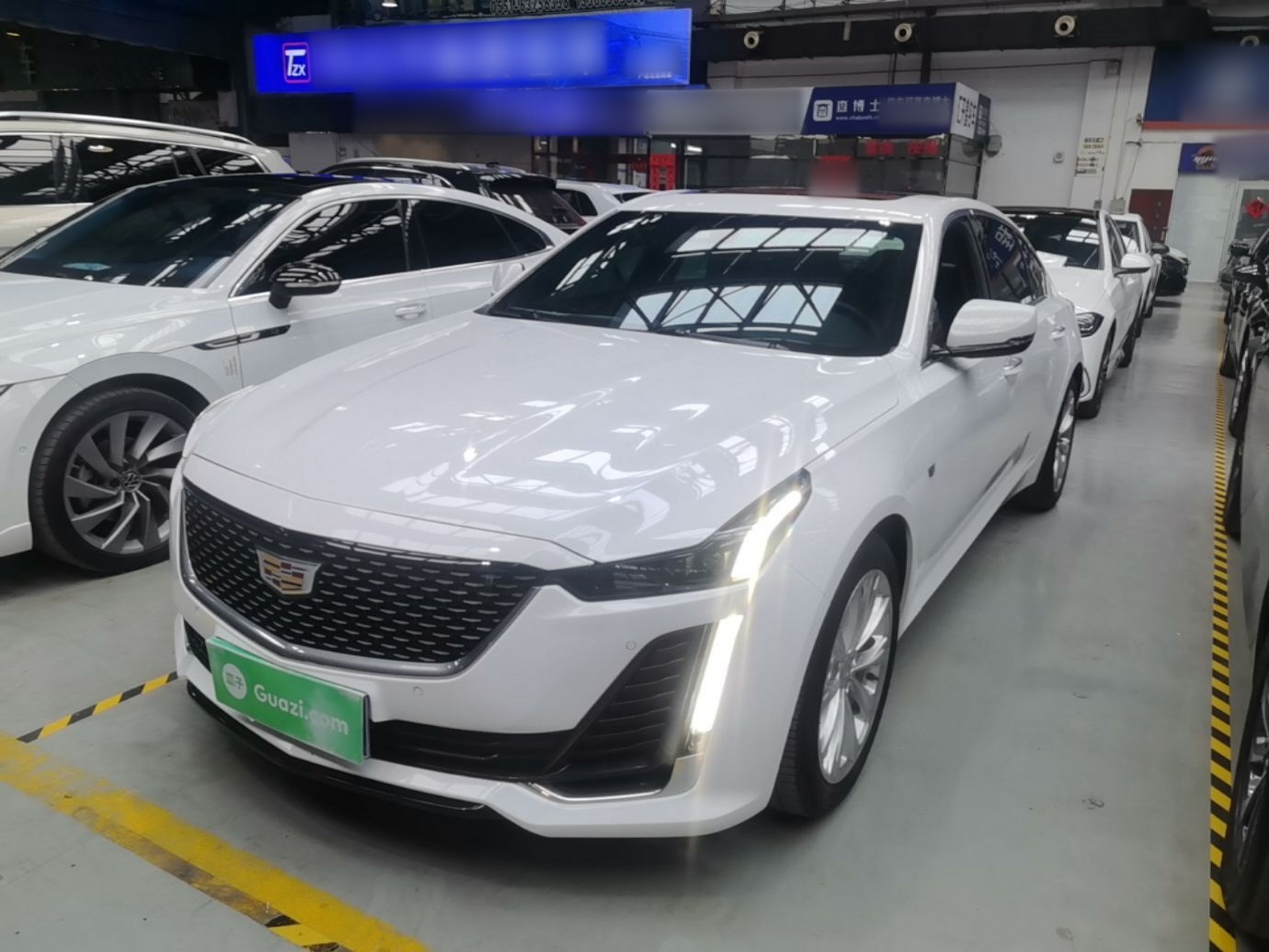 Parte inferior delantera