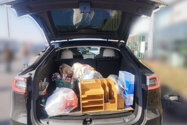 Used Tesla Model Y 2021 Standard Range Rear-Wheel Drive Version
