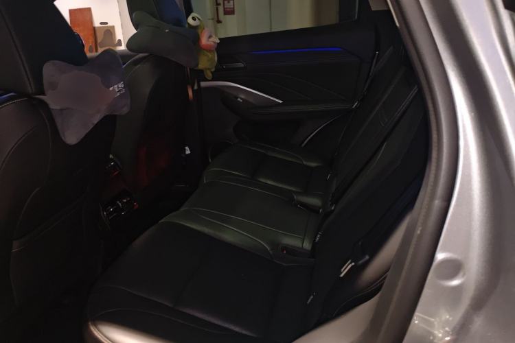 Used Wey VV6 2021 2.0T Two-Wheel Drive Smart Plus Left Rear Seat