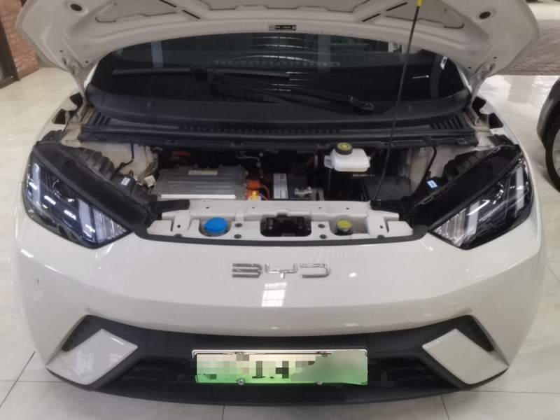 Used BYD Seagull 2024 Honor Edition 305km Dynamic Version — 19