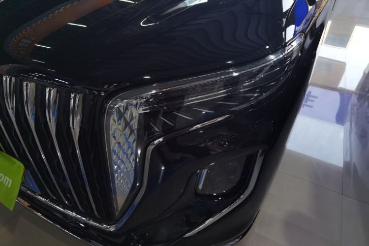 Used Hongqi HQ9 2023 2.0T Smart Connect Flagship Edition