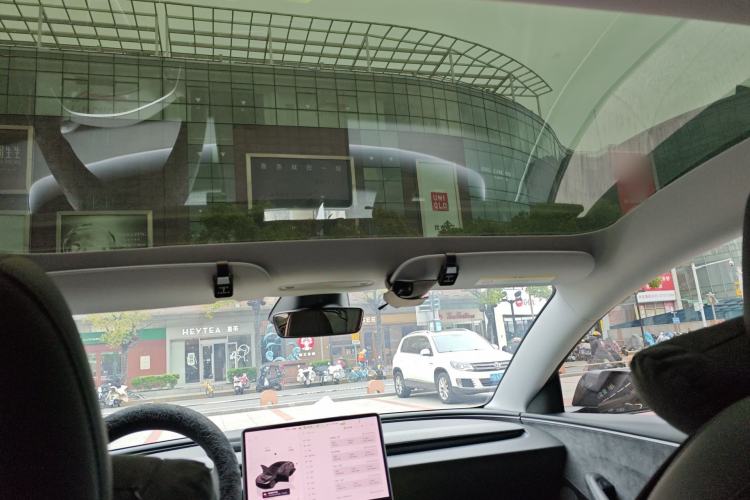 Used Tesla Model 3 2025 Model Revised Long-Range All-Wheel-Drive Version Headliner