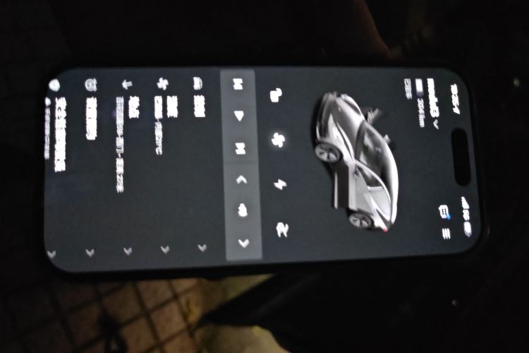 Used Tesla Model 3 2022 Rear-Wheel-Drive Version Interior 1