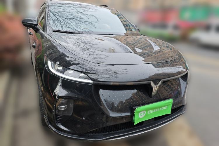 Used VOYAH COURAGE 2024 Four-Wheel Drive Global Edition