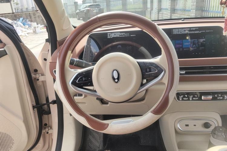 Used ORA Good Cat 2023 401 km Standard Range Luxury Version Lithium Iron Phosphate