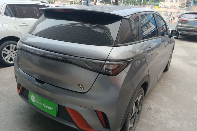 Used BYD Dolphin 2021 405 km Free Version Rear Right 45 Deg