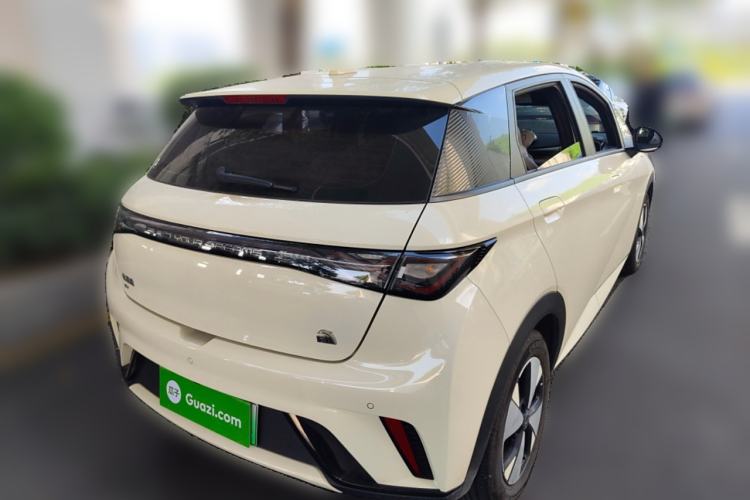 Used BYD Dolphin 2023 420 km Free Version
