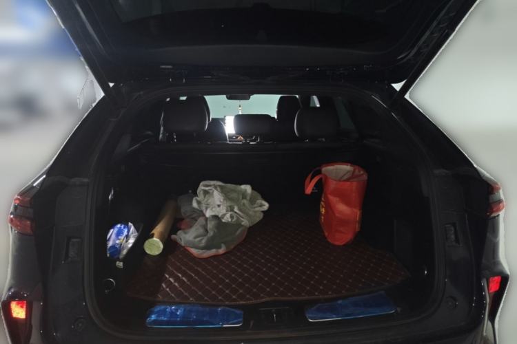 Used Wey Mocha New Energy 2023 Two-Wheel Drive Long-Range Version