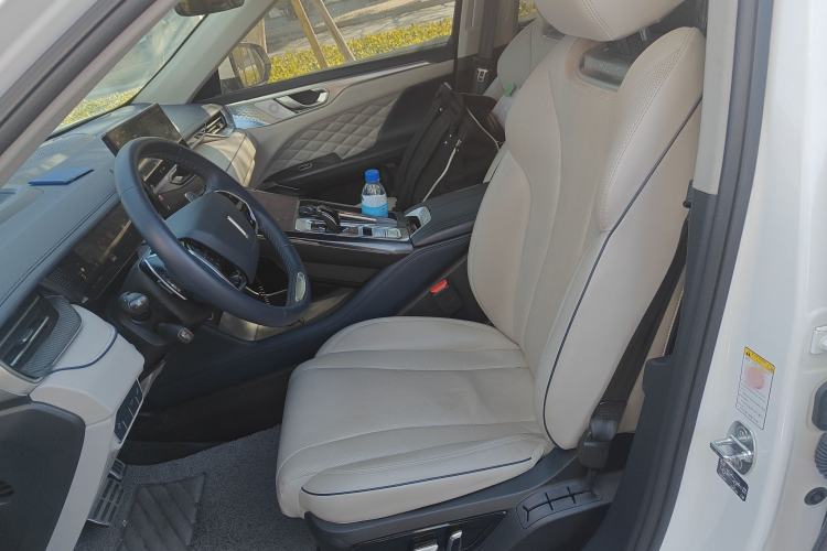 Used Wey Mocha 2021 2.0T Two-Wheel Drive Special Edition