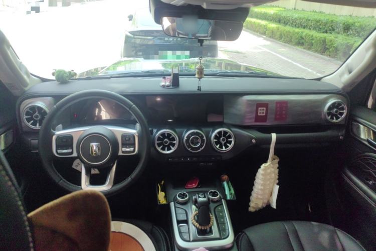 Used Tank 300 2024 2.0T Conqueror
