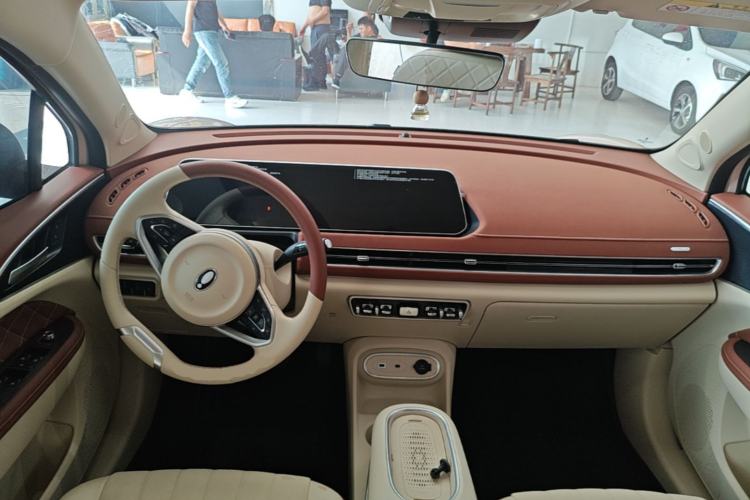 Used ORA Good Cat 2023 401 km Standard Range Luxury Version Lithium Iron Phosphate
