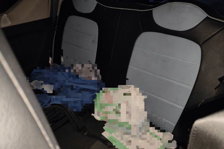 Used Wuling Hongguang MINIEV 2020 Enjoyment Model Lithium Iron Phosphate Left Rear Seat