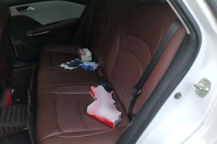 Used Chevrolet Monza 2023 1.5L Dual-Clutch WOW Enjoyment Edition Left Rear Seat