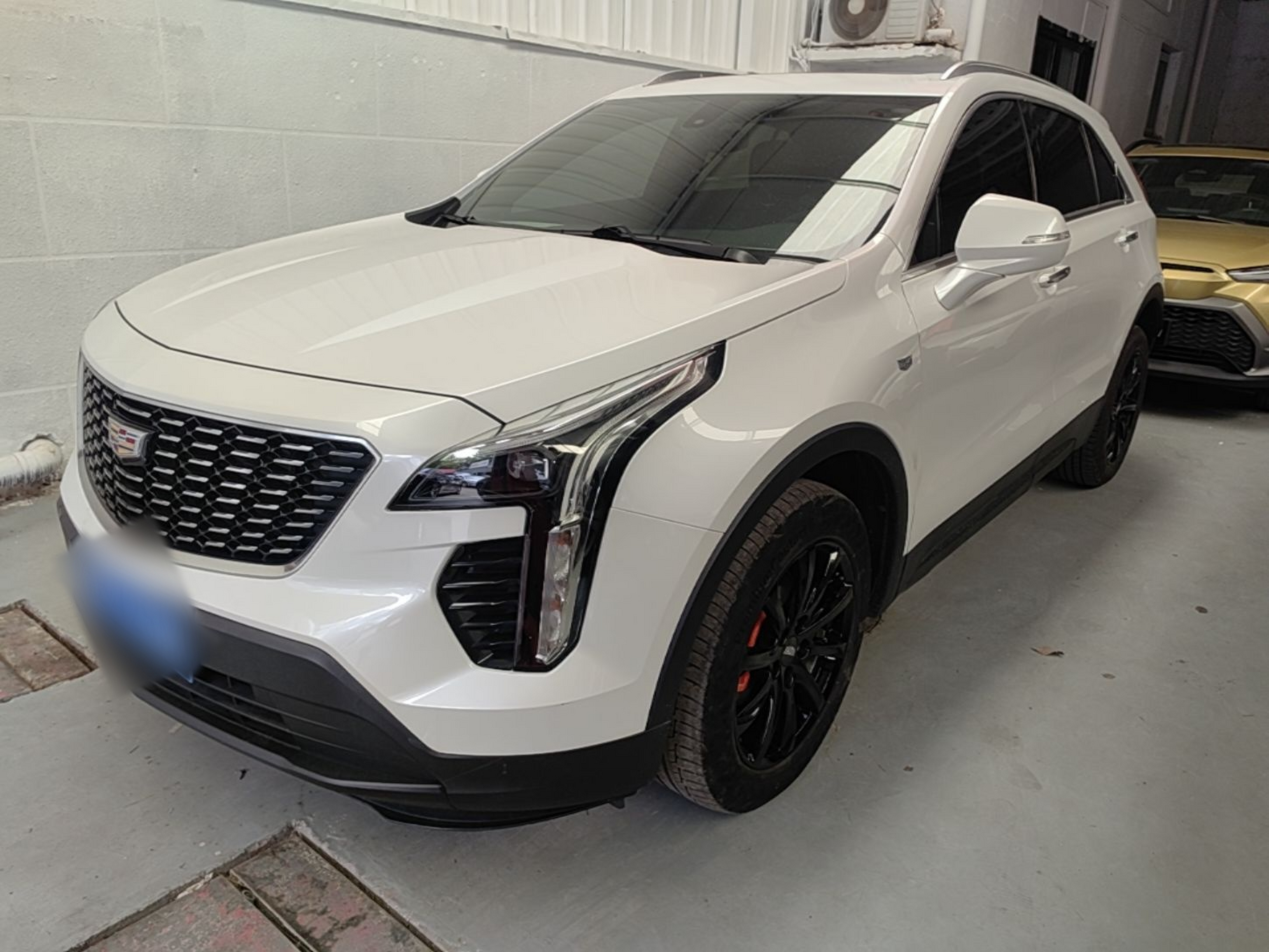 Under Front Bumper