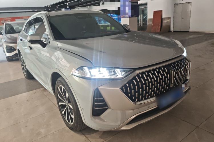 Used Wey Mocha 2021 2.0T Four-Wheel Drive Premium Edition
