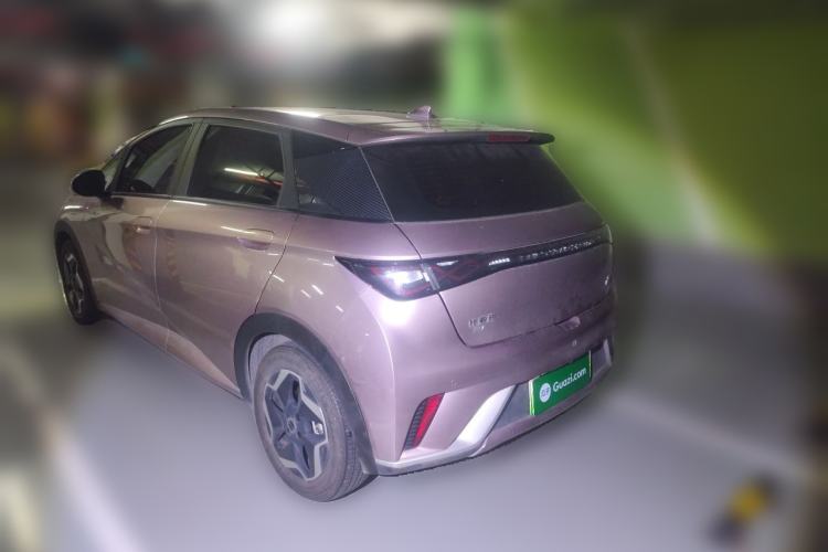 Used BYD Dolphin 2021 405 km Fashion Edition Rear Left 45 Deg