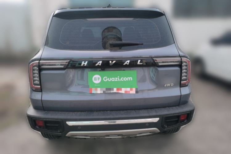 Used Haval DARGO 2022 2.0T DCT 4x4 Chinese Rural Dog Edition
