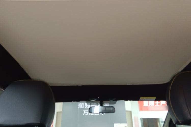 Used AION Y 2022 70 Intelligent Edition Lithium Iron Phosphate Headliner