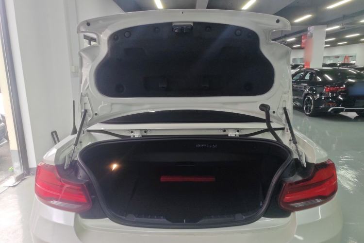 Used BMW 2 Series 2019 225i Convertible Coupe Sports Design Package