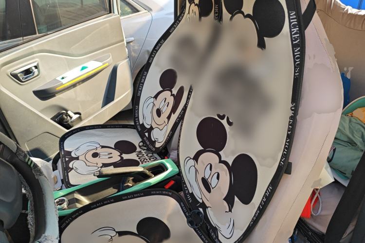 Used BAW Yuanbao 2022 Fun Edition Left Front Seat