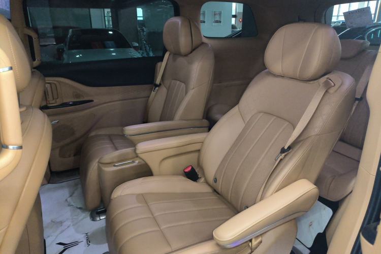 Used VOYAH Dream 2024 PHEV Extended-Range Premium Edition Left Rear Seat