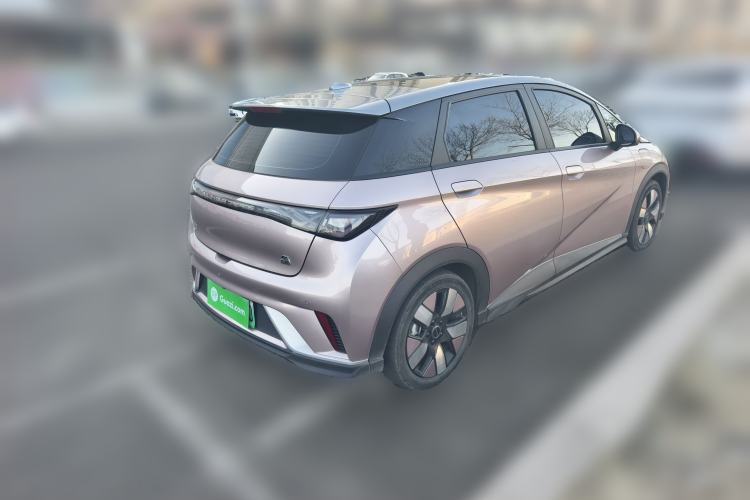 Used BYD Dolphin 2021 401km Knight Edition