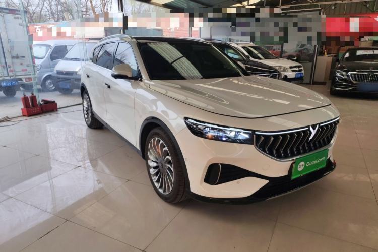 Used VOYAH FREE 2021 Four-Wheel Drive Standard Range-Extended Exclusive Luxury Package Exterior 1