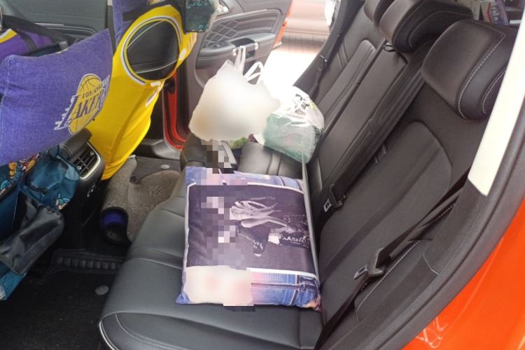 Used Tank 300 2021 Off-Road Edition 2.0T Conqueror
