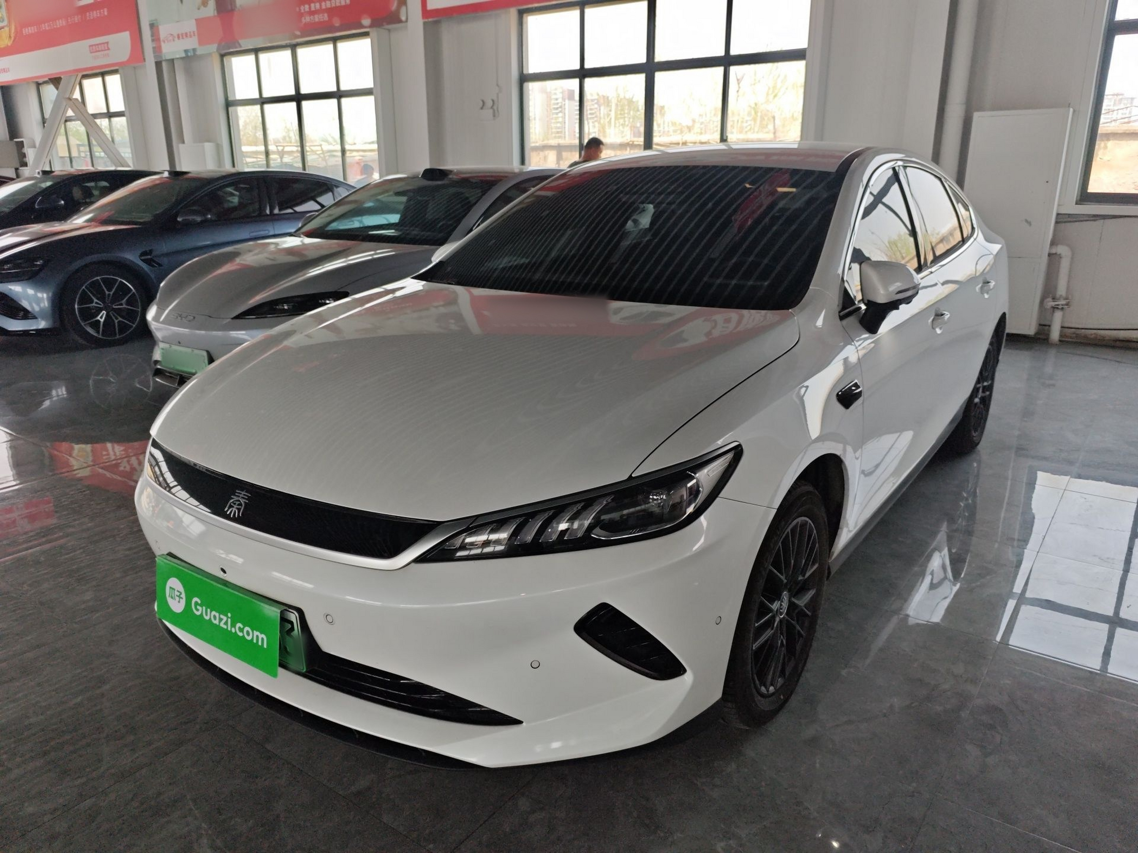 Under Front Bumper