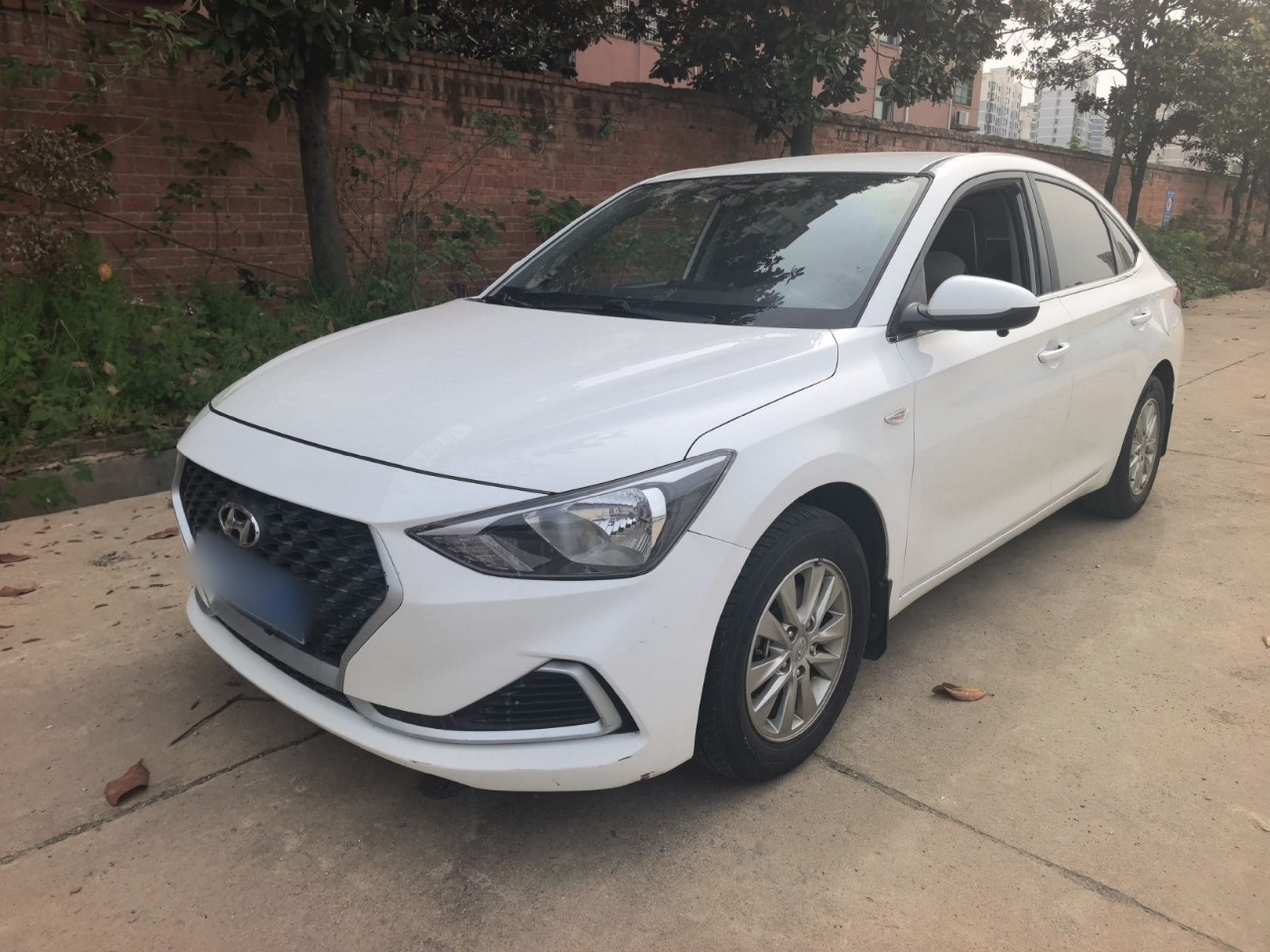 Parte inferior delantera