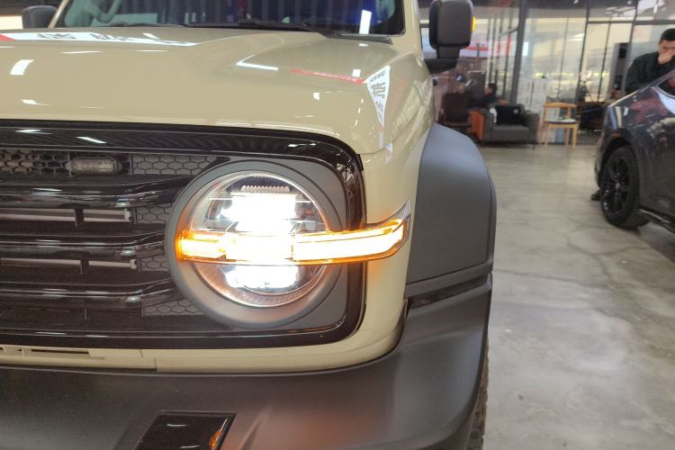 Used Tank 300 2025 2.4T Diesel Version
