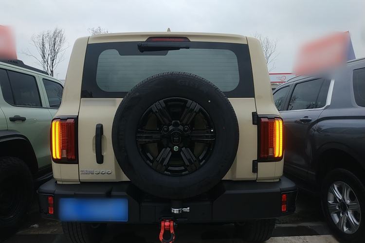 Used Tank 300 2025 2.4T Diesel Version