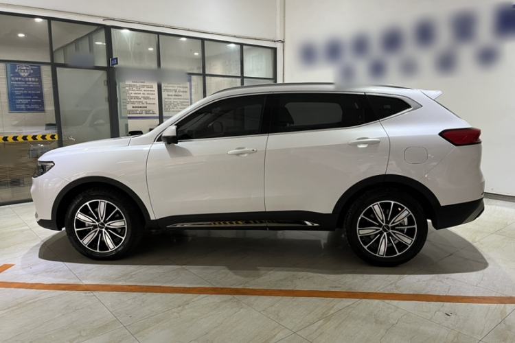 Used Haval H6 2023 National Trend Edition 1.5T Automatic Champion Version