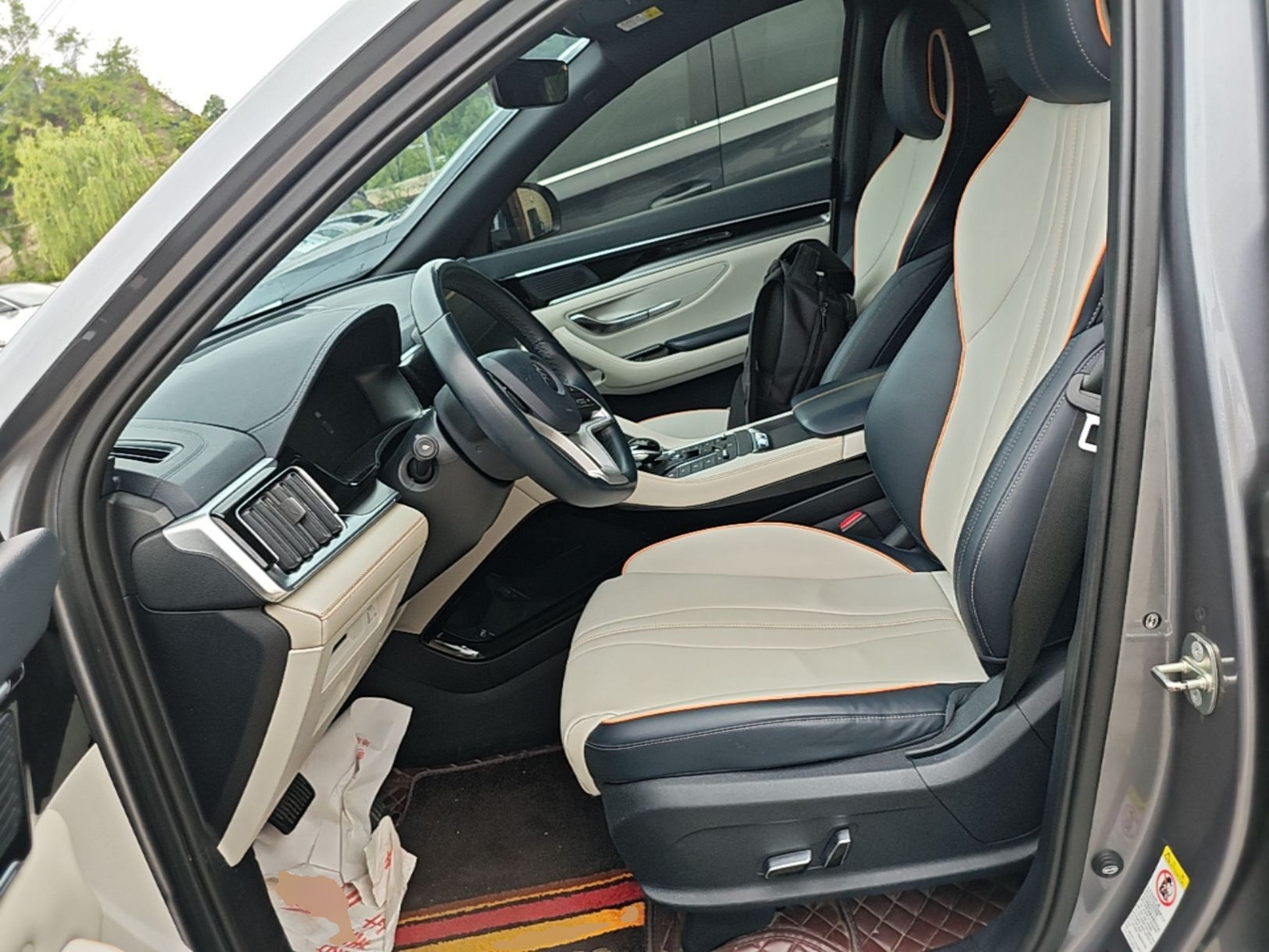 Interior delantero