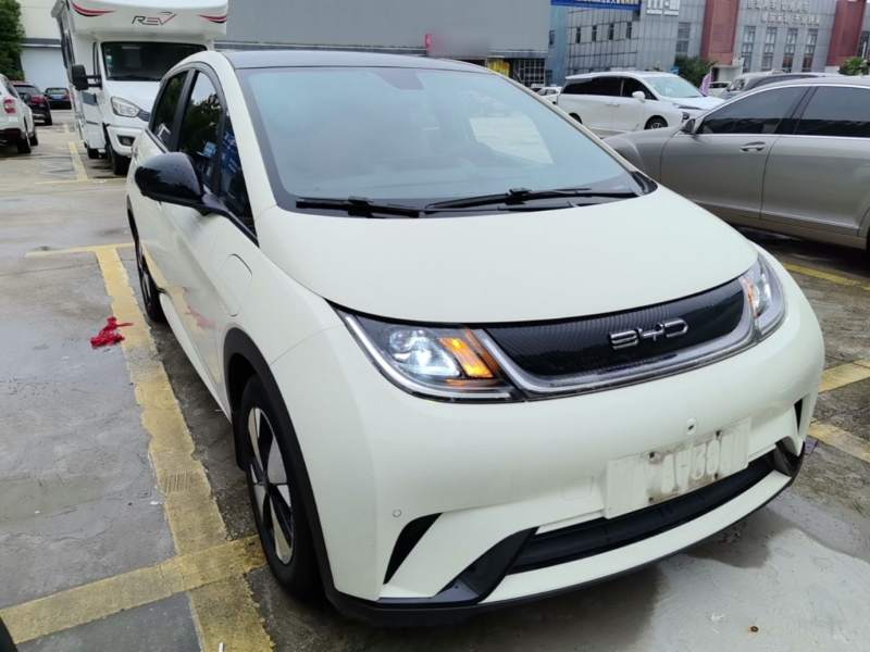 Used BYD Dolphin 2023 420 km Fashion Edition — 3