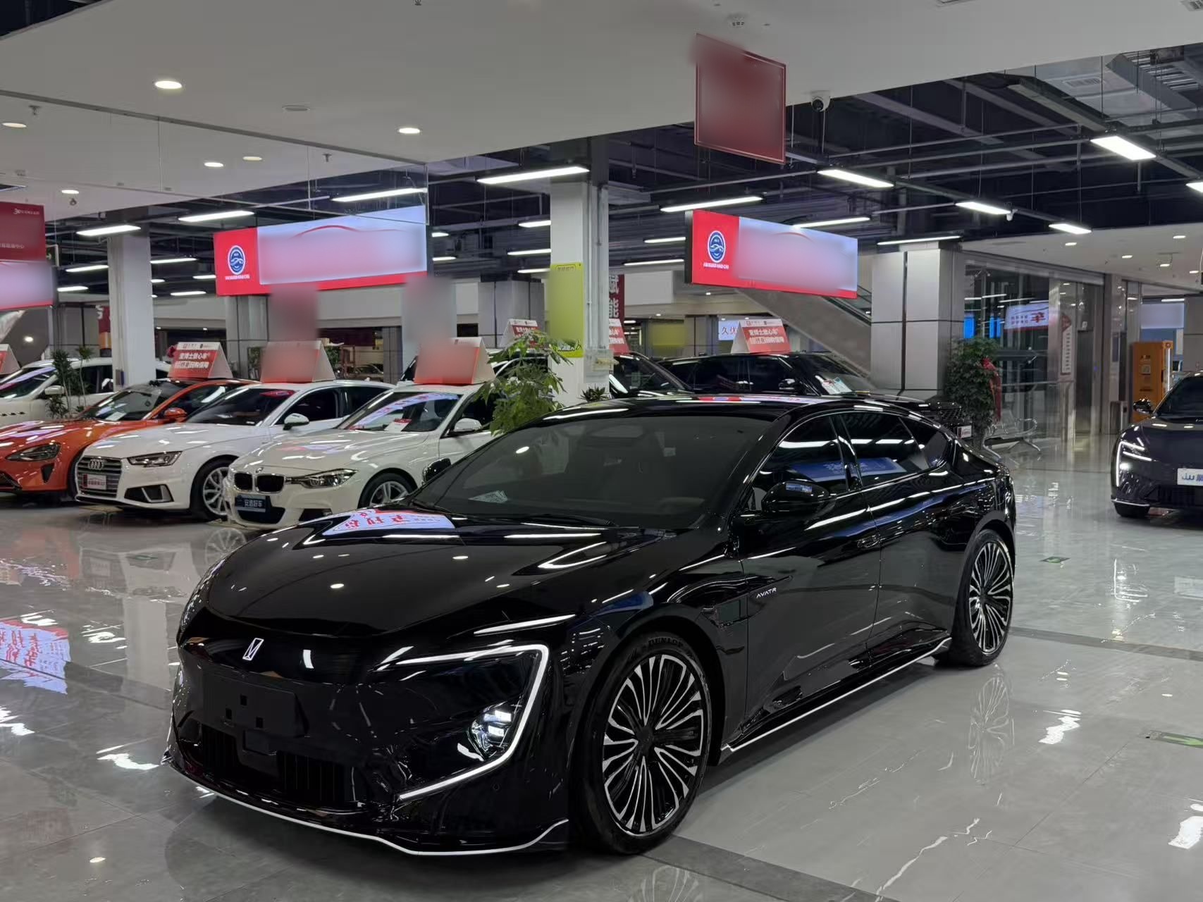 Parte inferior delantera