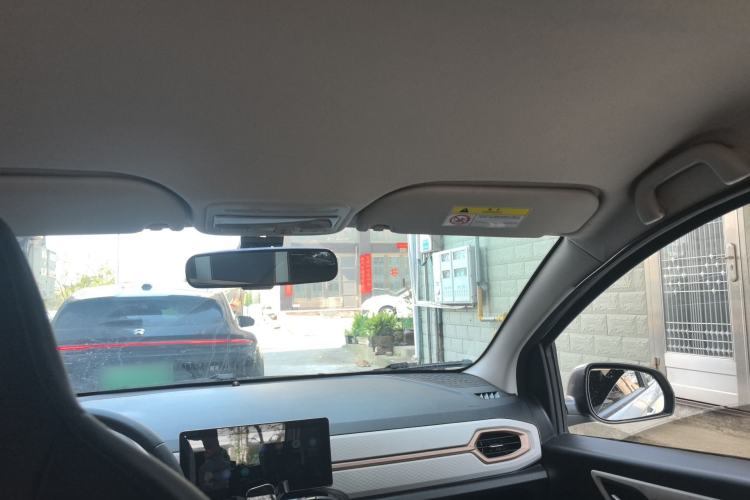 Used SOL E10X 2022 Flower Fairy Design Four-Leaf Clover Headliner