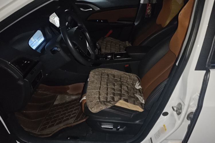 Used BYD Qin New Energy 2016 Qin EV300 Prestige Model
