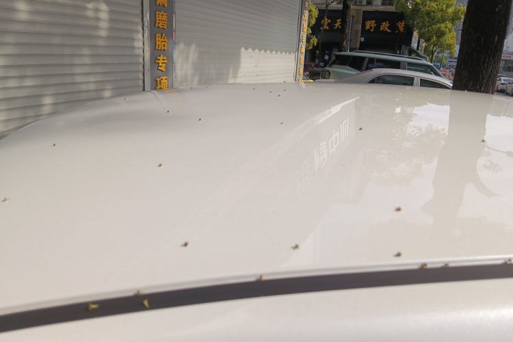 Used Nissan Sylphy 2022 Classic 1.6XE CVT Comfort Edition