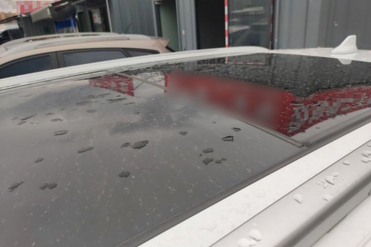 Used BYD Song Pro 2019 1.5T Automatic Luxury Model Roof