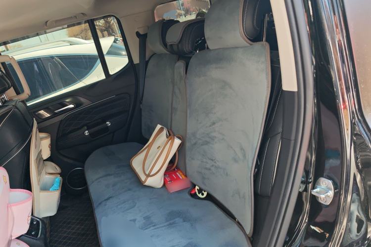 Used Tank 300 2024 2.0T Conqueror Left Rear Seat