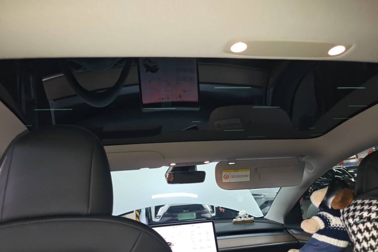 Used Tesla Model 3 2021 Standard Range Rear-Drive Upgraded Version