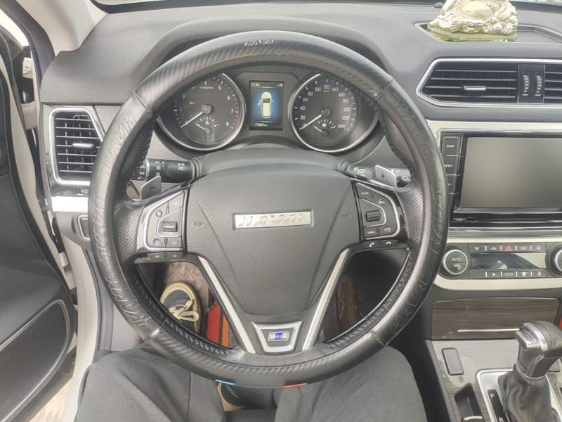 Used Haval H6 Coupe 2016 Blue Label 1.5T Automatic Two-Wheel Drive Elite Model — 10