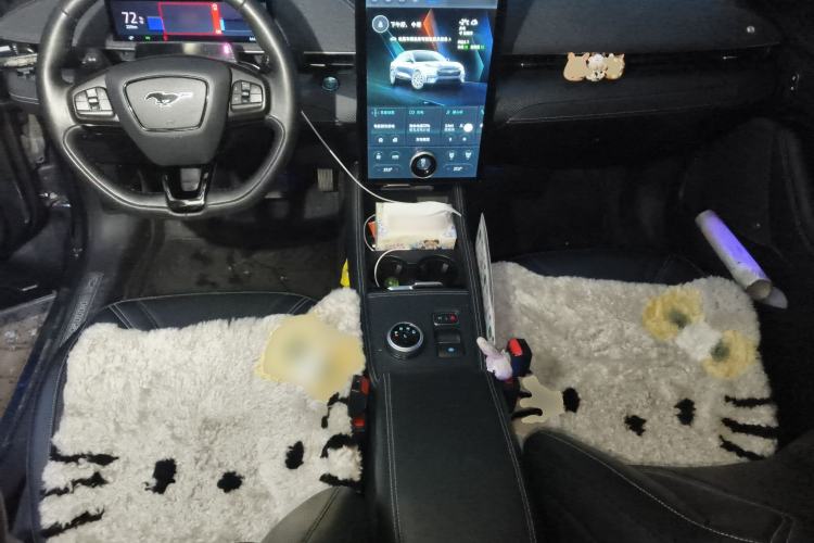 Used Ford Mustang Mach-E 2021 AION Y Plus Rear-Drive Luxury Edition (Long Range)
